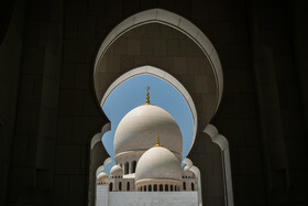 مسجد شیخ زاید در مجموع ۸۲ گنبد در اندازه‌های مختلف دارد. این گنبدها مانند سایر بخش‌های مسجد از مرمر ساخته شده و برای تزئین آن‌ها در قسمت بالایی، از شیشه‌های طلایی استفاده شده است. در زیر گنبدها پنجره‌هایی وجود دارد که باعث می‌شود نور طبیعی وارد محل‌های برپایی نماز شود. بزرگ‌ترین این گنبدها دقیقا روی سالن اصلی برپایی نماز قرار دارد.  