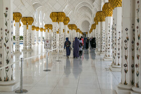  ابعاد مسجد شیخ زاید 420 در 290 متر است و در مجموع مساحتی در حدود 12 هکتار را در بر می گیرد. ارتفاع ساختمان از کف تا سقف برابر با 33 متر است و می تواند بیش از 41 هزار نفر را در خود جای دهد. تنها سالن اصلی مسجد، گنجایشی 7 هزار نفری دارد و همچنین دو سالن کوچک‌تر مسجد هر کدام می توانند 1500 نفر را در خود جای دهند. یکی از این سالن های کوچک، به خانم ها اختصاص دارد و باقی بخش ها مردانه هستند. 