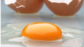 تخم مرغ را جایگزین گوشت و مرغ کنید