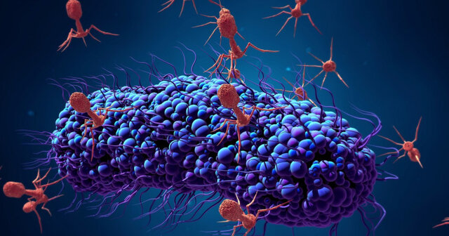 نابودی باکتری‌های مقاوم در برابر دارو با ویروس‌های مهندسی‌شده