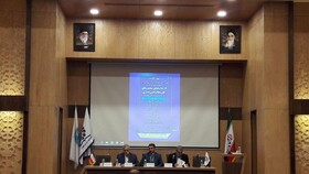 موارد مبهمی در رفتار و عملکرد نهادهای قانونگذاری مشاهده می‌شود