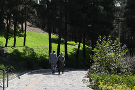 تملک ۸ قطعه باغ و اراضی مشجر در پایتخت از سال ۹۶ تاکنون