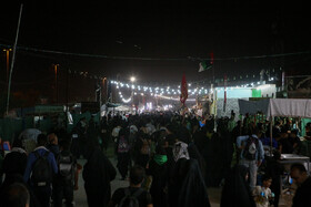 راهپیمایی اربعین حسینی، نجف به کربلا
