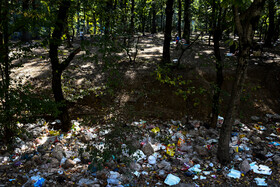 رهاسازی زبالهها در جنگل گلستان