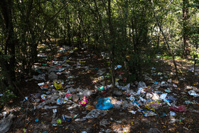 رهاسازی زبالهها در جنگل گلستان