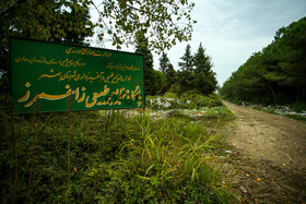 ورودی پاسگاه منابع طبیعی روستای «زاغمرز» از توابع بخش مرکزی شهرستان بهشهر در استان مازندران
