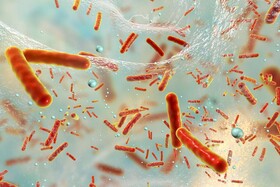 نقش میکروبیوم روده در سیستم غدد درون ریز انسان