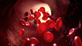 توضیحاتی درباره بانک ذخیره سلول‌های بنیادی خون قاعدگی/ شیوه‌ای جدید برای درمان ناباروری