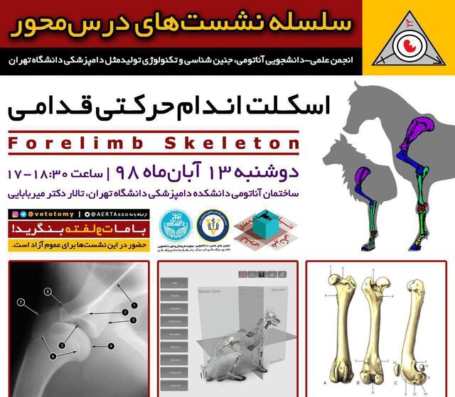 برگزاری نشست «آناتومی اسکلت اندام حرکتی قدامی» در دانشگاه تهران