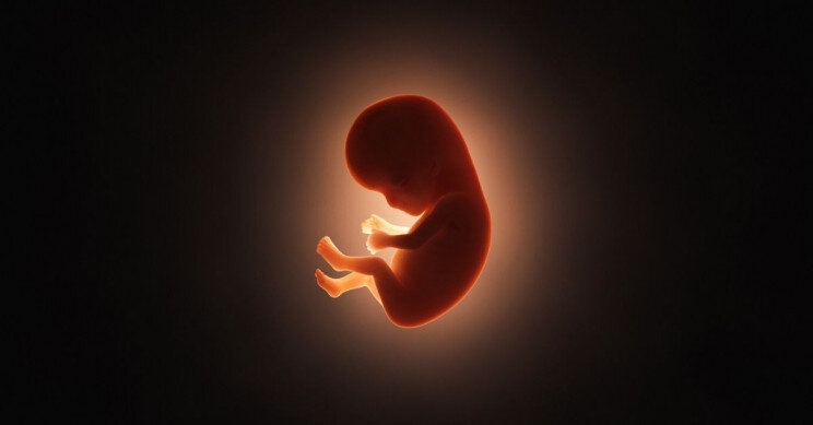 سند ملی کودکان اصل «محرمانگی» در رحم جایگزین و اهدای جنین را حفظ می‌کند؟