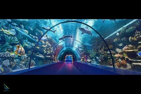 بزرگترین تونل آکواریم جهان