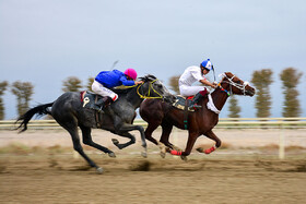 هفته نخست کورس اسبدوانی شهرستان گنبد کاووس
