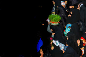 استقبال از کاروان نمادین ورود حضرت فاطمه معصومه(س) به شهر قم