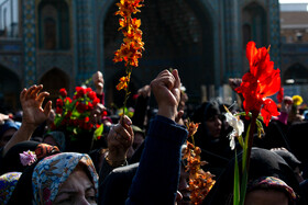 استقبال از کاروان نمادین ورود حضرت فاطمه معصومه(س) به شهر قم