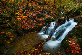 ایران زیباست؛ جنگل پاییزی «سنگده»