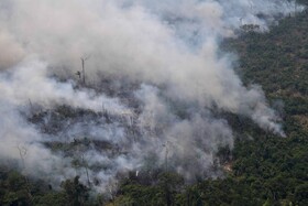 روند صعودی جنگل‌زدایی در آمازون