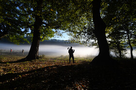 پاییز در رشته کوههای البرز، کوههای شهرستان بندر گز تا شرق به جنگلهای مینودشت در استان گلستان