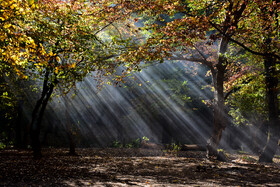 پاییز در رشته کوههای البرز، کوههای شهرستان بندر گز تا شرق به جنگلهای مینودشت در استان گلستان