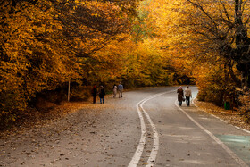 ایران زیباست؛ پاییز در پیاده روی جنگل «النگدره» گرگان
