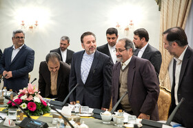 دیدار شاهین مصطفی‌یف، معاون نخست وزیر جمهوری آذربایجان با محمود واعظی، رییس دفتر رییس‌جمهور