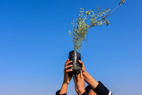 تصمیم هلال احمر برای کاشت ۱۰۰ هزار درخت به مناسبت ۱۰۰ سالگی این جمعیت