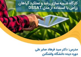 کارگاه شبیه‌سازی رشد و عملکرد گیاهان زراعی با استفاده از مدلDSSAT