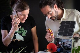 استفاده از "تلفن قورباغه‌ها" برای سنجش سلامت محیط زیست!