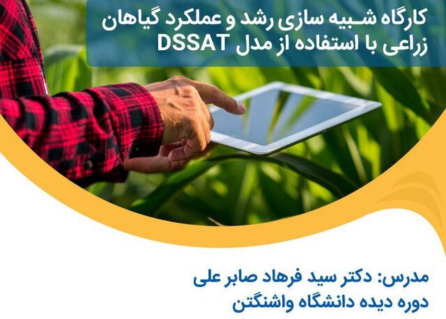کارگاه شبیه‌سازی رشد و عملکرد گیاهان زراعی با استفاده از مدلDSSAT
