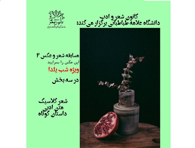«این عکس را بسرایید» 