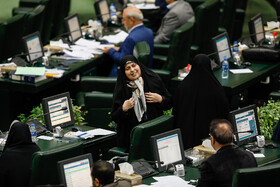 پروانه سلحشوری در صحن علنی مجلس