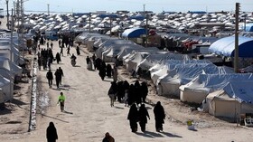تصمیم قسد برای آزادی هزاران داعشی ساکن اردوگاه الهول