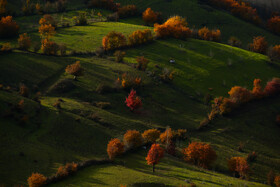 ایران زیباست؛ طبیعت پاییزی «رودبار» تا «سیاهکل»