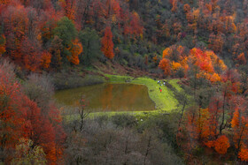 ایران زیباست؛ طبیعت پاییزی «رودبار» تا «سیاهکل»