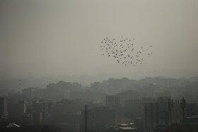 از کاهش غلظت ازن در تهران تا پیش‌بینی افزایش روزهای آلوده در پاییز