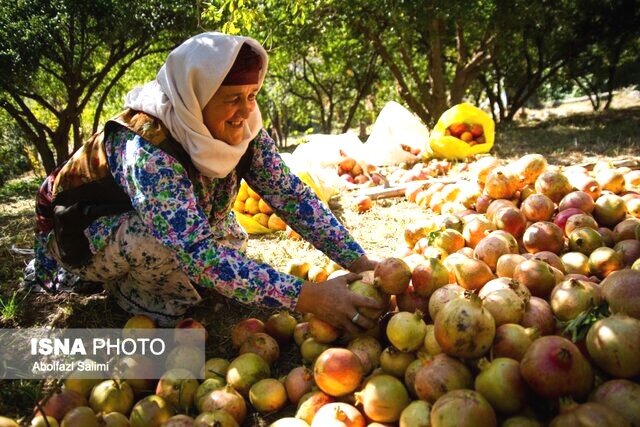 قبل از دادن وام اشتغال به بازار محصول فکر کنیم!