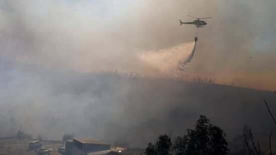 خطر آلودگی زیست‌محیطی با گسترش آتش سوزی در جنگل‌های سیبری 