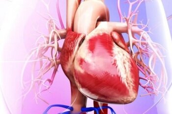 درمان غیرتهاجمی مشکلات قلبی با تزریق نوعی هیدروژل