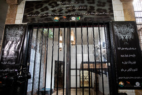 انتقال "ماوی" ماده پلنگ ایرانی به باغ‌وحش ارم