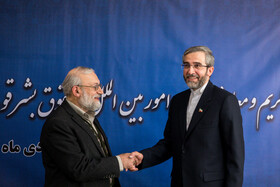 دبیر جدید ستاد حقوق بشر،‌ پس از سعید‌ جلیلی مدتی به عنوان معاون اروپا در وزارت امور خارجه فعالیت کرد