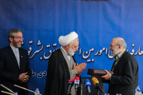 لاریجانی از زمان شکل‌گیری ستاد حقوق بشر قوه قضائیه ایران در سال ۱۳۸۴ معاون بین‌الملل و رئیس این ستاد بود