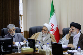 جلسه مجمع تشخیص مصلحت نظام - ۱۱دی