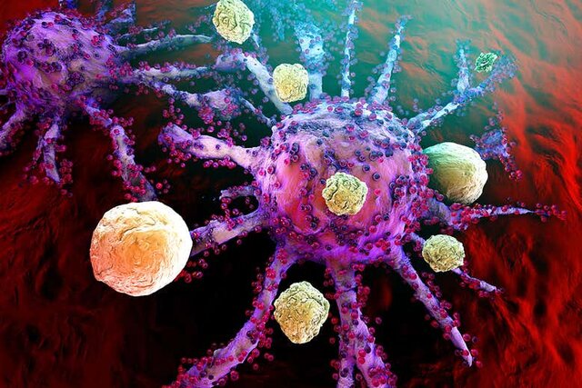 کشف پایگاه‌های ایمنی بدن در مقابله با سرطان