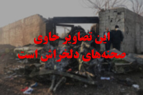 سقوط هواپیمای اوکراینی