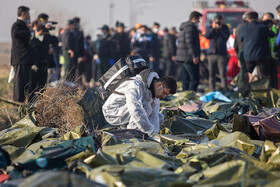 بیانیه سخنگوی دولت درباره سقوط هواپیمای اوکراینی