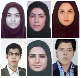 ۶ دانش‌آموخته دانشگاه امیرکبیر در میان جانباختگان سقوط هواپیما