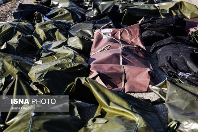 ۱۲۳نفر از قربانیان سقوط هواپیمای اوکراینی شناسایی شدند+ اسامی