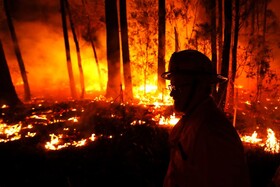 افزایش ۳۰ درصدی خطر آتش سوزی در جنگل‌های استرالیا با تغییرات اقلیمی