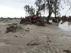 سیلاب 6000 میلیارد ریال به کشاورزی سیستان و بلوچستان خسارت وارد کرد