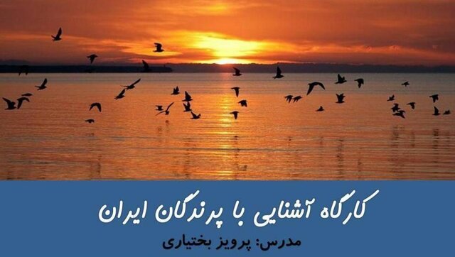  "کارگاه آشنایی با پرندگان ایران" در دانشگاه تهران برگزار می‌شود