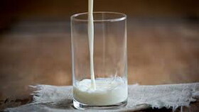 میزان افلاتوکسین شیر در ایران رو به کاهش است